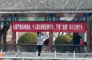 Read more about the article 回顾老人公园“钻裤裆”一幕，引全网热议：你为老不尊的样子真丑