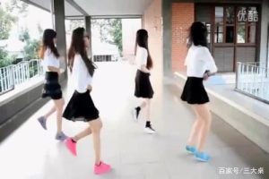 Read more about the article 广场曳步舞46种基础步法汇总（三）
