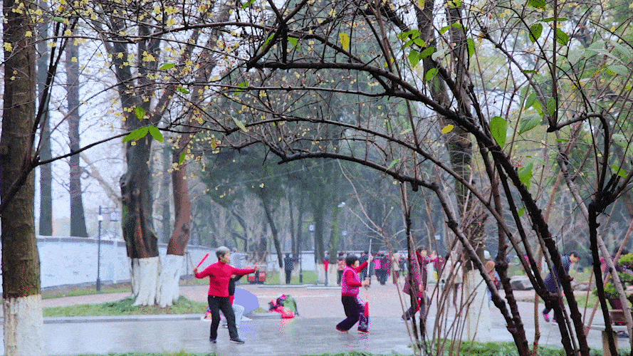 Read more about the article 盘点七种广场舞